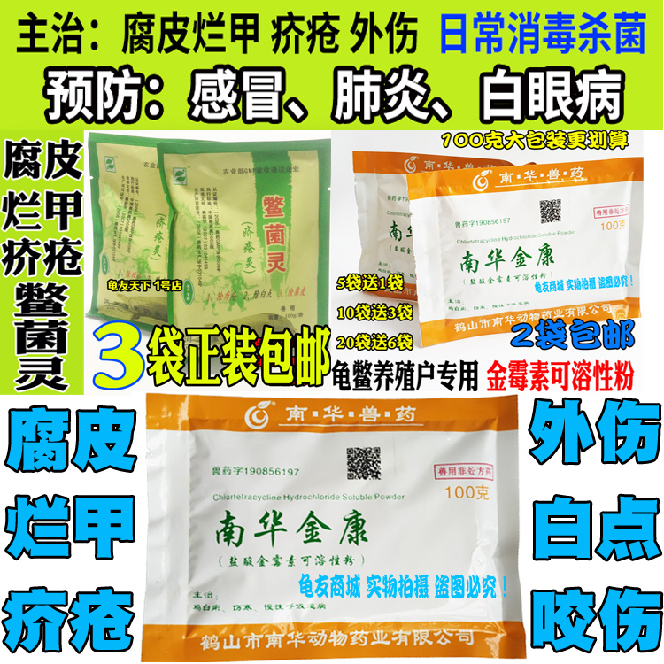 Tortoise herbs Turtle Spirit South Stone Tortoise Tortoise Turtle Bassil Tortoise Flame Cured Skin Trauma Leather Trauma Chia White Spot Scabies