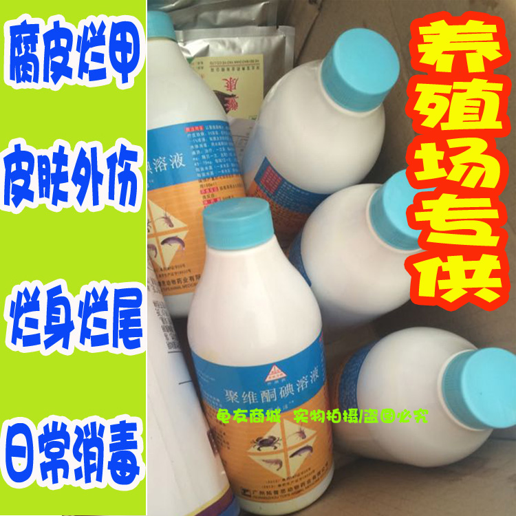 Tortoise Drug Polyvidone Iodine Iodoi Basil Turtle South Stone Tortoise Crocodile Turtle Control Rotten Leather Crappy Paw Trauma