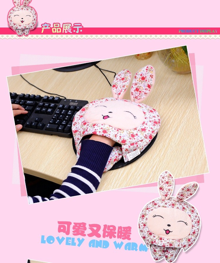 Coussin chauffant USB Le Japon et la Corée du Sud - Ref 426600 Image 20