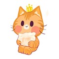 歹猫のCard