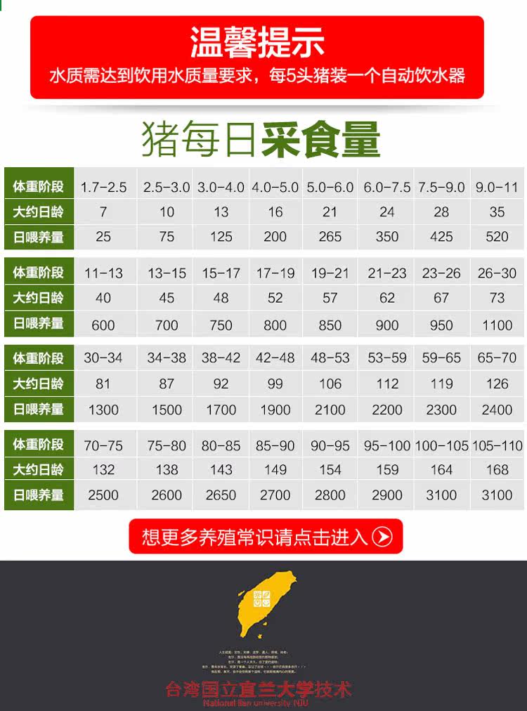 Свинцовая корма размножающегося здравого смысла_02.jpg