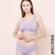 SET (гвоздика фиолетовый)