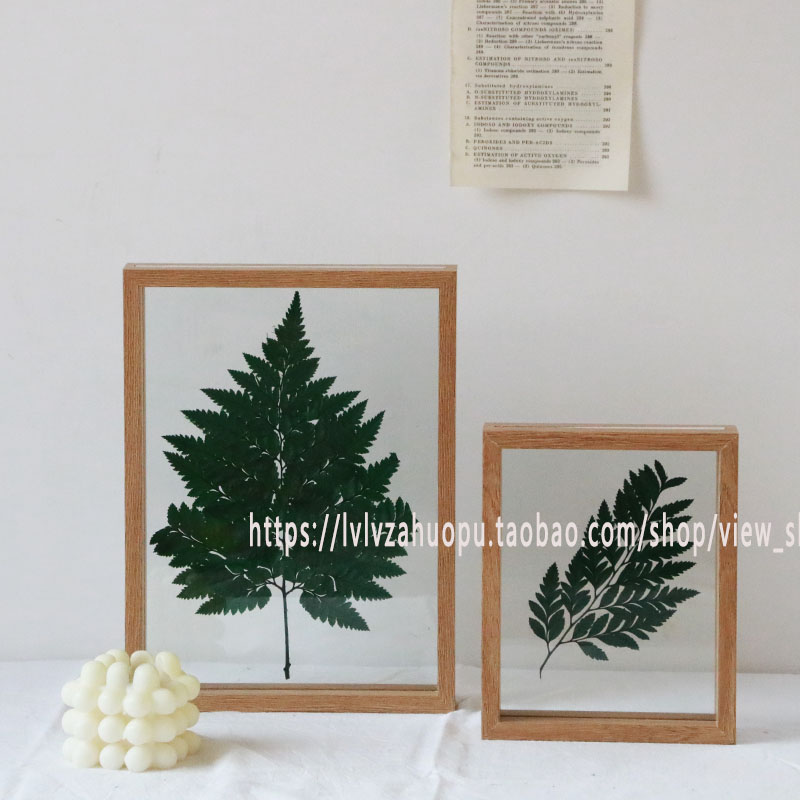 Han Feng gỗ kính khung ảnh thực vật mẫu khung hình khung hình chic chic studio nhà trang trí quán cà phê - Trang trí nội thất thiết kế tiệm nail