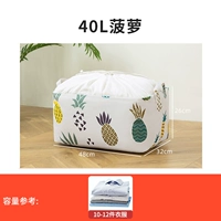 40L ананас (48*32*26)