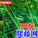 Plant Climbing Net for Vegetable Garden, Cucumber Trellis, Passion Fruit Wall-Mounted Balcony Climbing Grid Support, Loofah Trellis Net
