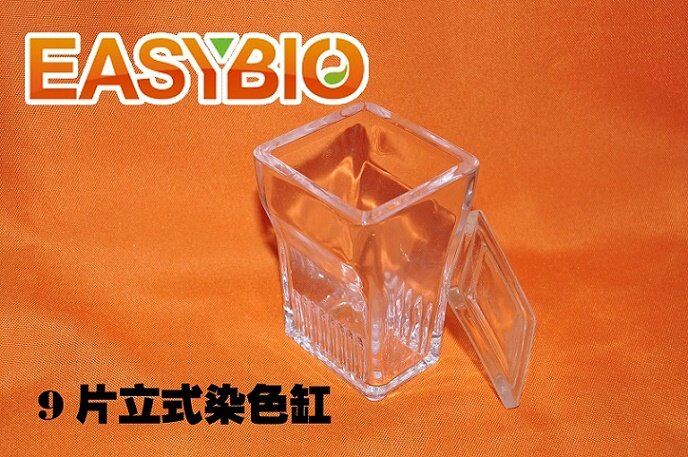 柏奥易杰 热销爆款 9片玻璃 立式染色缸 带盖 货号BE6646