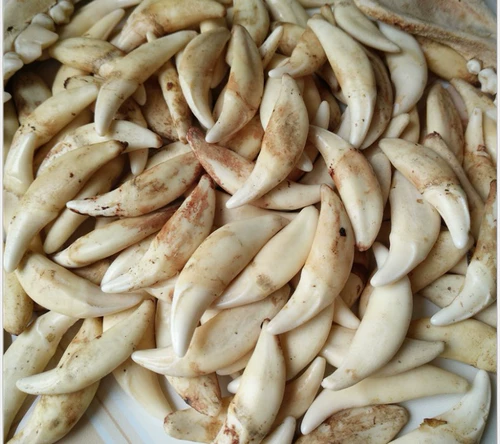 Детский браслет, аксессуары, креативная детская подвеска ручной работы, аксессуар