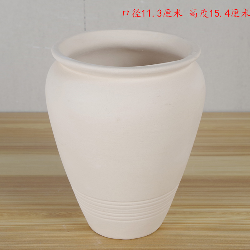 Tự làm vẽ tay bằng da thịt gốm sứ màu trắng khuôn chậu hoa bình hoa mẫu cá tính màu khuôn - Vase / Bồn hoa & Kệ chậu gốm trồng cây