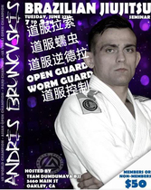 Brazilian Jiu-Jitsu Instructional Videos Lapel Series utilizes the guard of the Taoist costume