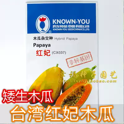 台湾农友红妃木瓜种子 非转基因高产品种株形矮适合阳台种植