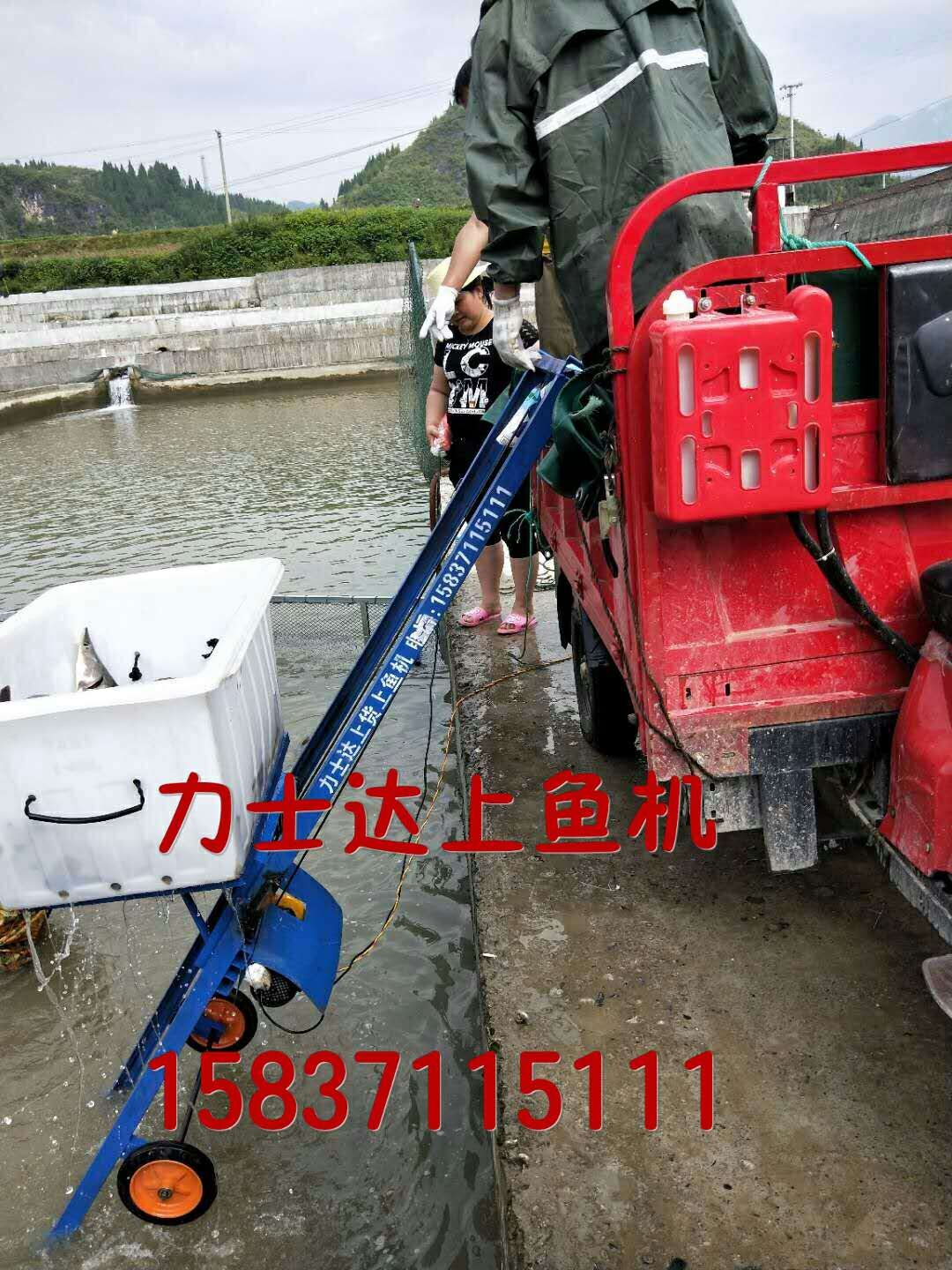 Loading fish lift Fishing fish machine Fish pond loading fish automatic loading machine artifact climbing ladder Hubei