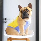 Летний тонкий дышащий милый жилет, эффект подтяжки