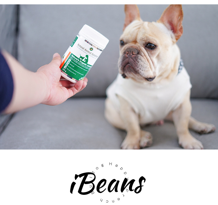 Úc NAS bột canxi hữu cơ thú cưng mèo mèo xương khớp bổ sung phương pháp chiến đấu Sản phẩm sức khỏe chó Teddy 200g cho mèo con uống sữa gì