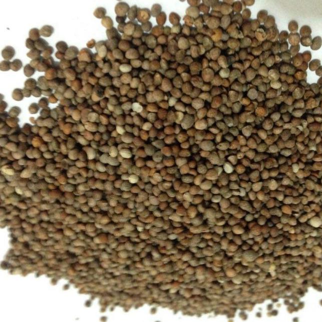 500g grams of Chinese herbal medicine supply from Zussuzi 3 Susuzi Purple Suzuzi