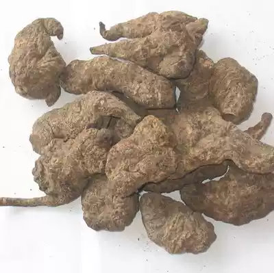 Raw ground 3 pieces Raw ground yellow pieces Raw ground yellow Henan Jiaozuo Chinese herbal medicine Company supply