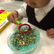 Childrens soilless cultivation plant seed petri dish observation seedling box Student classroom experiment diary potted