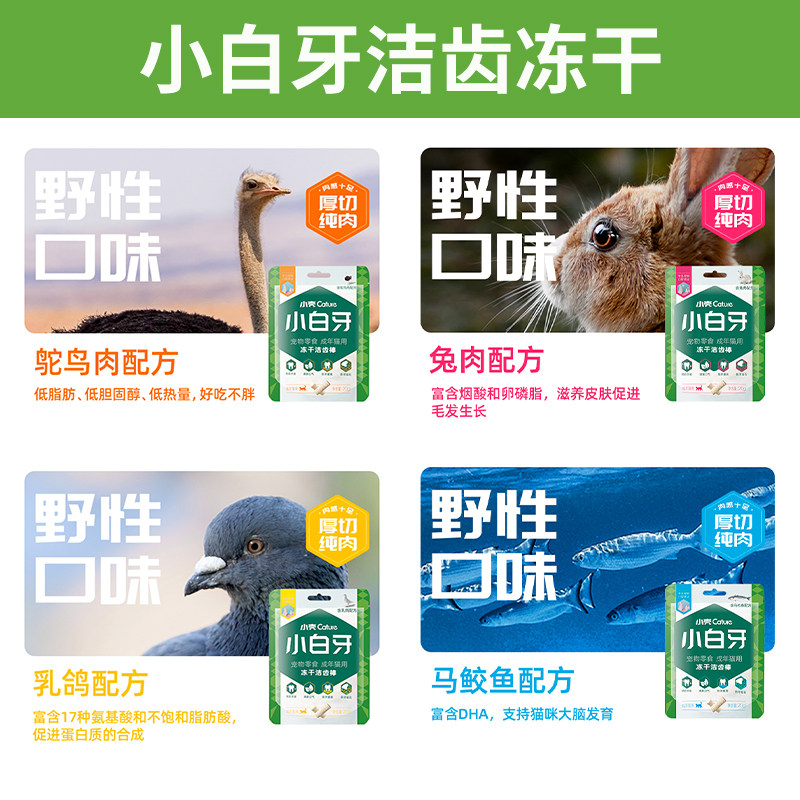 天猫规则定义全解读！小白必看，手把手教你玩转天猫购物