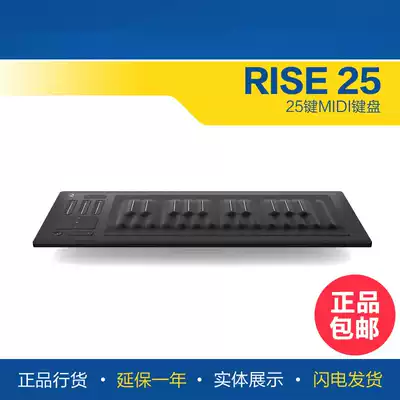ROLI Seaboard RISE 25 49 MIDI keyboard 3-dimensional silicone control