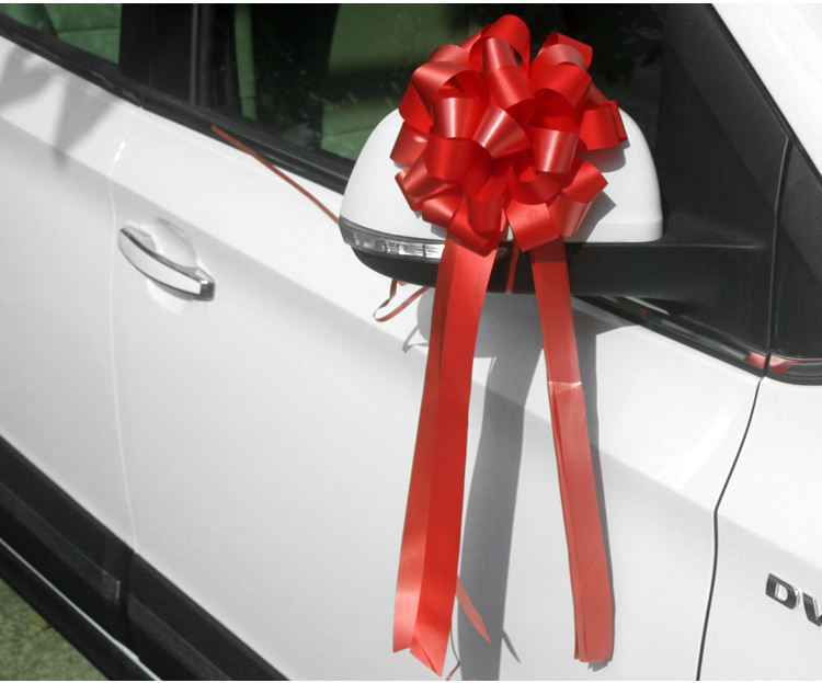 Sloth flower knot bicolor drawing color with satin ribbon French knot bouquet wedding gift caravan flowers car wedding house adornment festive items