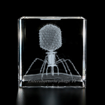 Japan imported Sola cube Micro microbial laser engraving specimen creative decorative ornaments