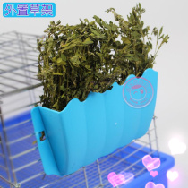 External Grass Rack Rabbit Dutch Pig Guinea Pig Pet Grass Rack Small Pet Simple Grass Supplies Rabbit Grass Supplies