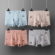 Youth underwear male high school junior high school 13 students pure cotton 12 development period 16 years old fat boy boxer boxer pants