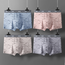 Youth underwear male high school junior high school 13 students cartoon fat boy pure cotton 12 development period 14 years old boxer boxer pants