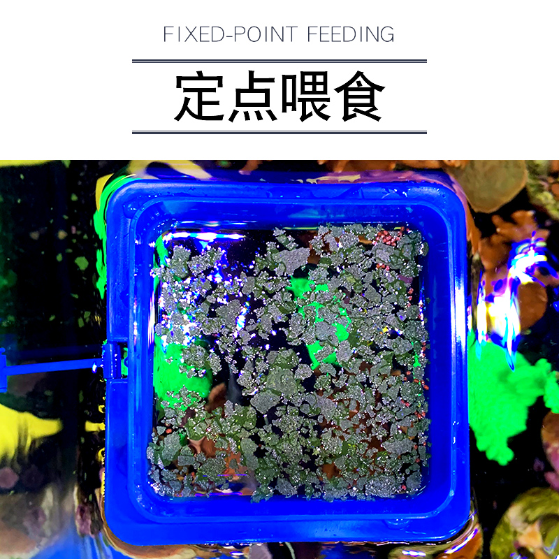 Fish Tank Feed Aquarium Feeding Circle Suspension Large Size Fish Feeding God Ware Anti-Drifting Drops Feeding Circle Large