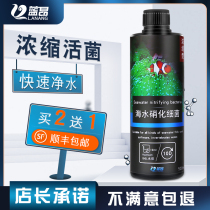 Blue Ang Nitrifying Bacteria Fish Tank Culture of Fresh Water Digestive Bacteria Seawater Nitrifying Bacteria High Concentration