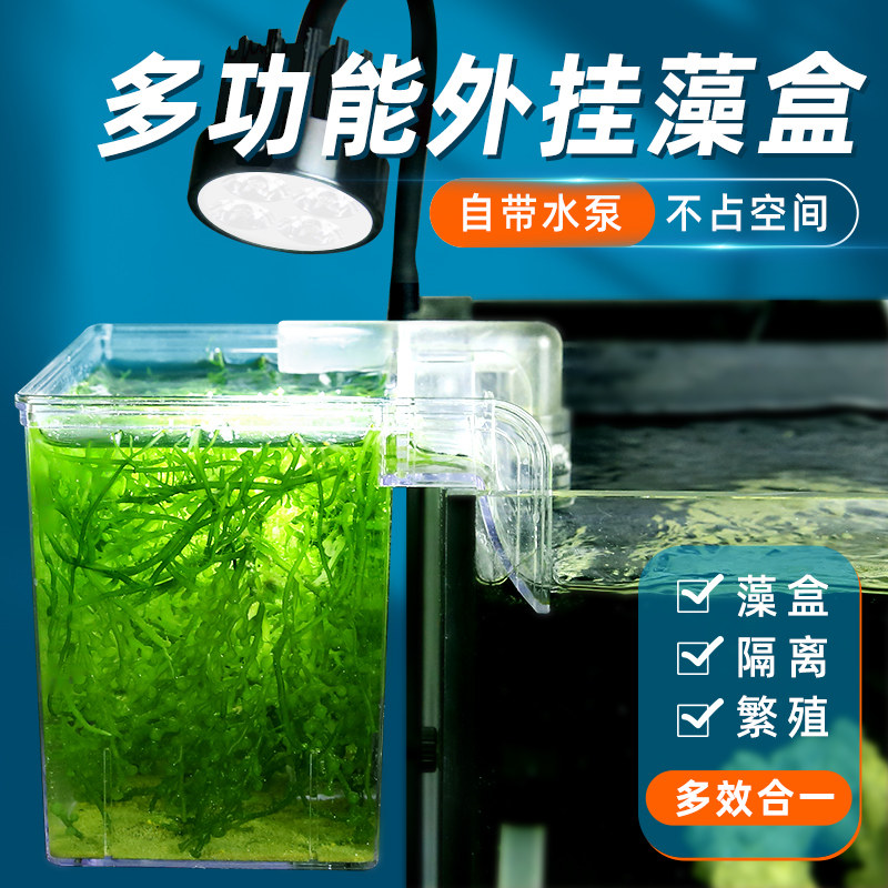 Sea tank external algae box fish tank isolation box guppy breeding box electric acrylic aquarium external incubator