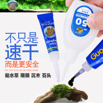 National elephant water grass glue fish tank landscape Moss sunken wood coral Moss skeleton glue aquarium special sea water sticky stone