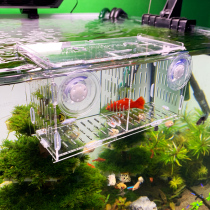 Fish tank fighting fish isolation box acrylic external isolation net separation box protection small fish breeding incubator box suction cup