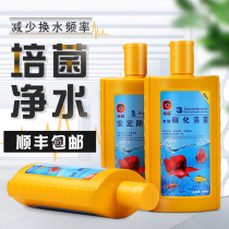 Dolphin nitrifying bacteria fish tank fish aquarium water purification agent aquarium nitrification viable bacteria chlorine removal agent water quality stabilizer