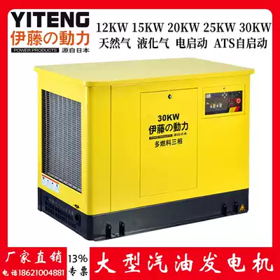 Japan imported Ito multi-fuel gas gas automatic gasoline generator 15KW 20 25 30 35
