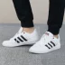 Giày thể thao nam Adidas 2019 giày vải mùa xuân đế thấp để giúp giày thường nhẹ CM8433 Giày tennis