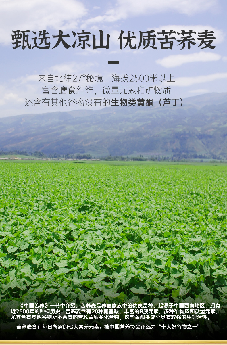 【三匠旗舰店】四川黑苦荞茶500g