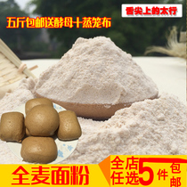 Whole wheat flour pancake powder 500g new wheat without added wheat bran flour Whole Wheat Bread steamed bread cake dry powder