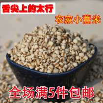Pearl Barley small pearl barley rice kernel Wheat Grain Pearl Barley Rice Seed Rices Tears Seed Eight Treasure porridge Cereals Porridge Raw 500g