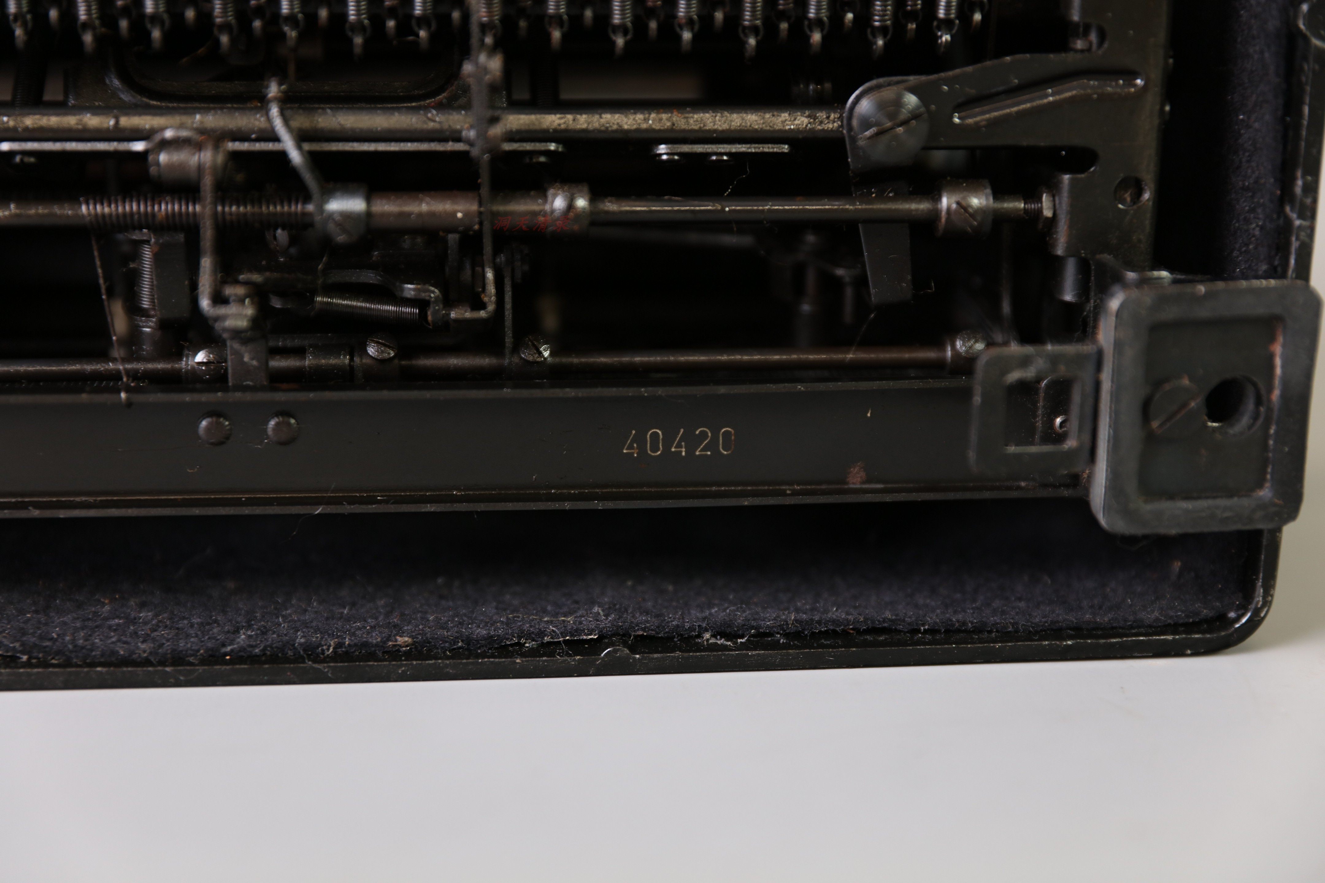 "1F1A8632.jpg"