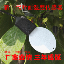 Foliar humidity sensor Leaf moisture sensor Water drop leaf leaf recording detector