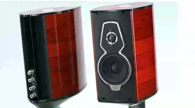 Italian tyrant Sonus Faber Guarneri Tradition inheritance series niche piano speaker