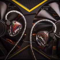 Singapore AAW Kingfisher Kingfisher 1 moving ring 1 ceramic unit 1 moving iron in ear earplugs