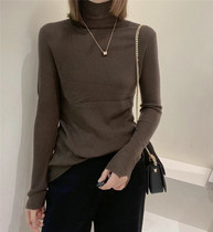 High-necked fine wool slim fit womens European station 2021 autumn and winter new long-sleeved thin section soft waxy bottoming shirt