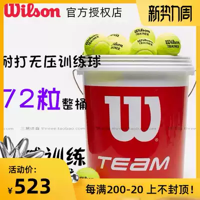 Wilson Wilson Team Trainer 72 barrel training ball