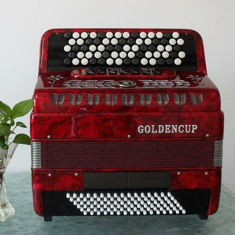 (Tao Shengqin Rhyme) Gold Cup Grand Bayan Accordion 70 Keys 96 120 Bespith Professional Piano
