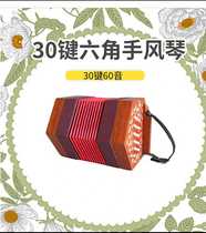 (Tao Sheng Qin Rhyme) St. Jay Card SJ30 60 Hexagonal Violin Retro Accordion 30 Key 60 Tone for Electronic Tutorials