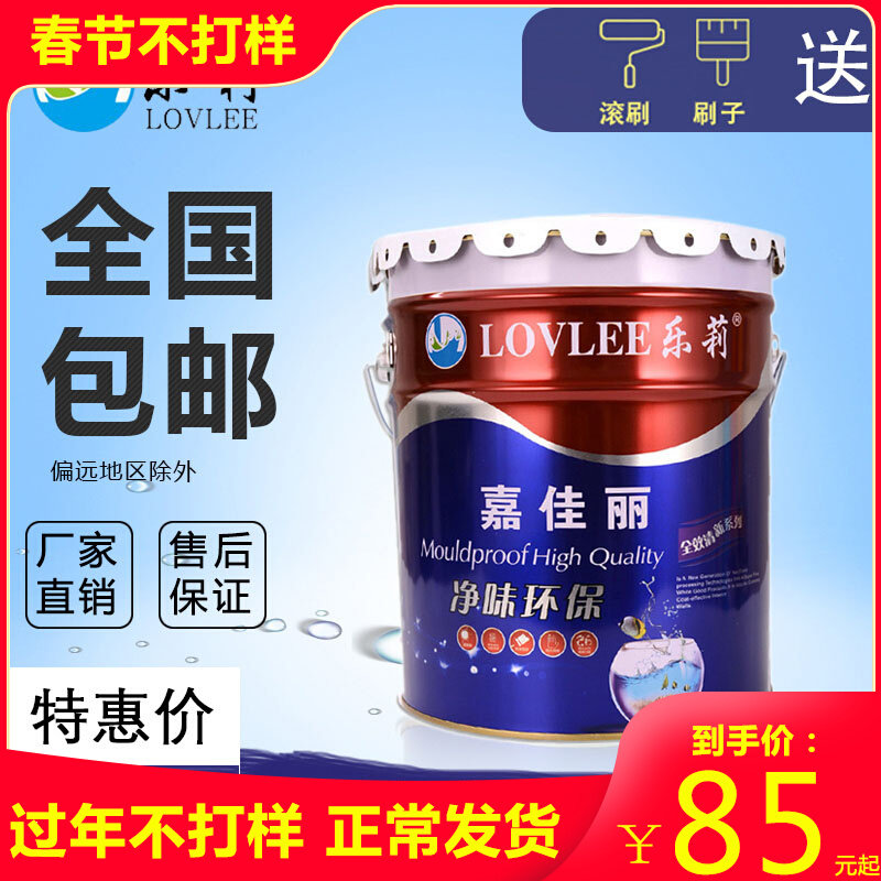 White 20kg environmental protection interior wall latex paint wall paint home color indoor self-brushing wall paint paint paint