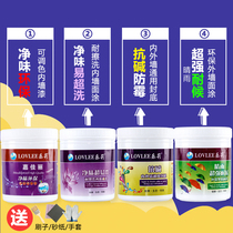 White color bucket inner wall Exterior wall mildew moisture-proof alkali-resistant waterproof sun-resistant latex paint Wall paint paint