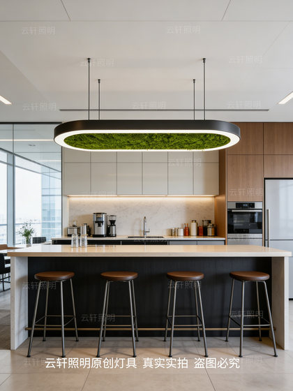 Modern Simple Oval Chandelier, Moss Lamp, Restaurant Leisure Area, Water Bar, Office Area, B&B, Shop Lighting Fixtures