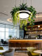 Creative Circular Plant Lights for Guesthouses, Western Restaurants, Leisure Areas, Shops, Southeast Asian Offices, Sunrooms, and Forest-Style Pendant Lights